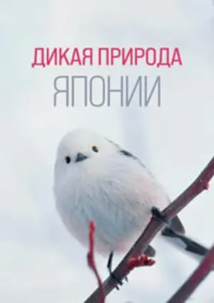 Дикая Япония