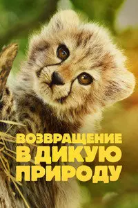 Возвращение в дикую природу