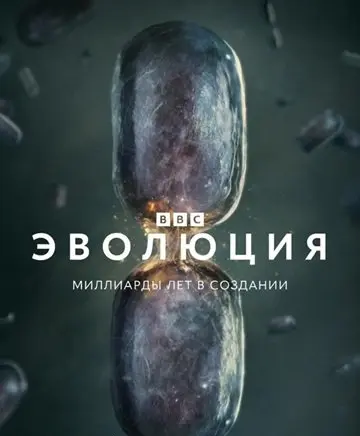 Эволюция