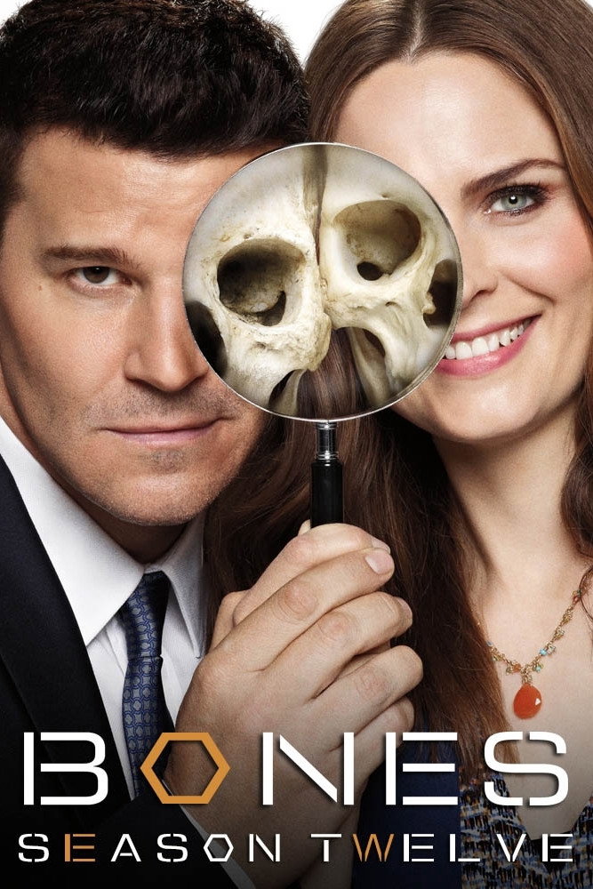 {episode-title}