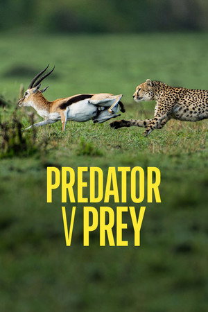 {episode-title}