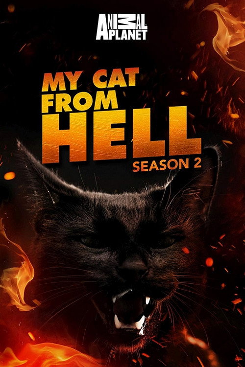 {episode-title}