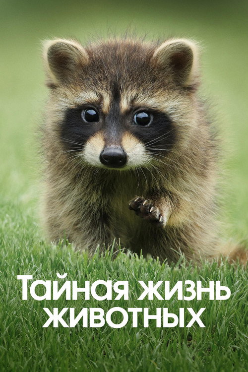 {episode-title}