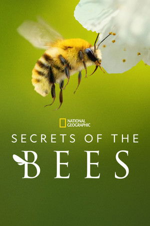 {episode-title}