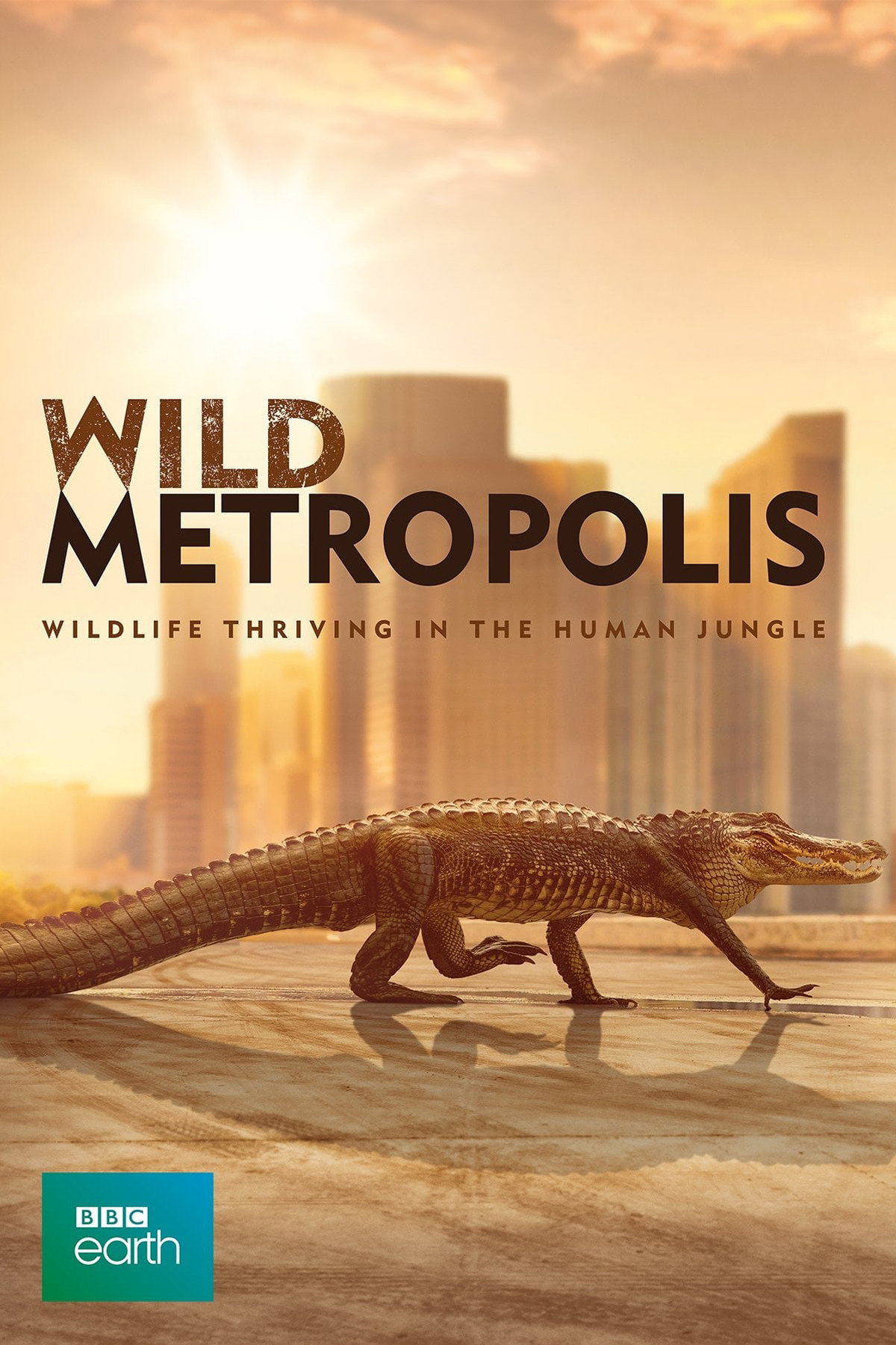{episode-title}