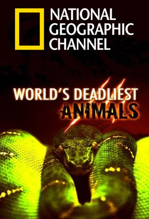 {episode-title}