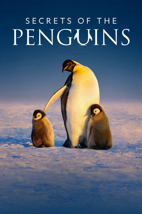 {episode-title}