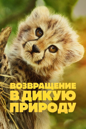 {episode-title}