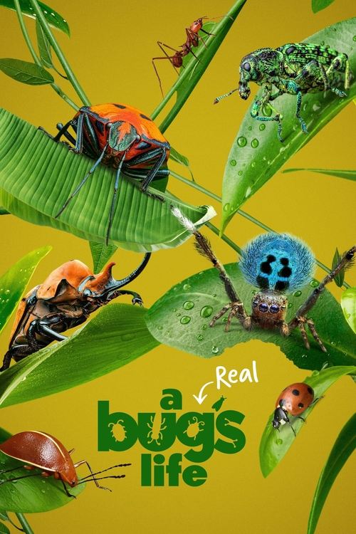 {episode-title}