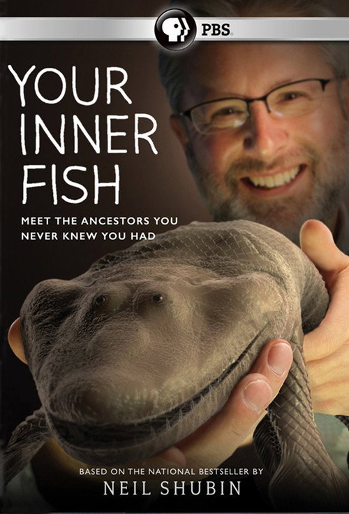 {episode-title}