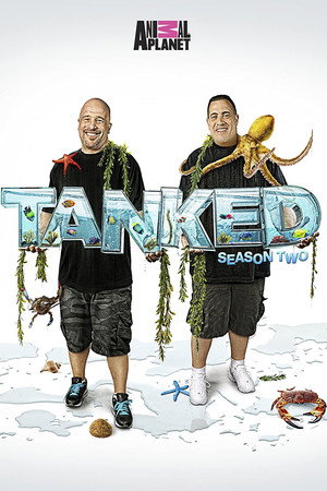 {episode-title}