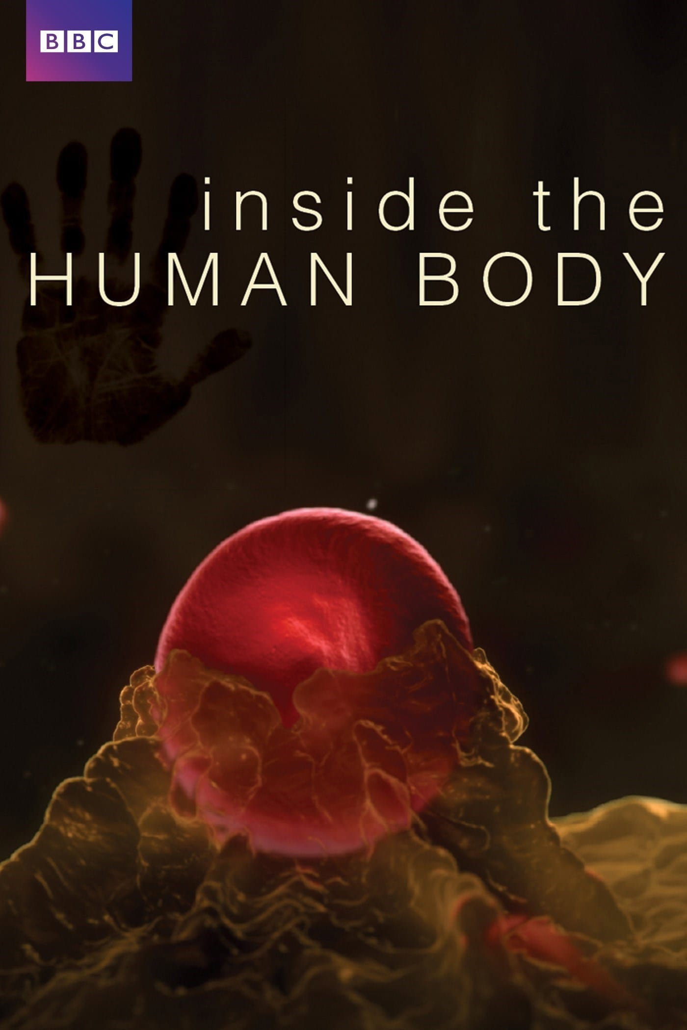 {episode-title}