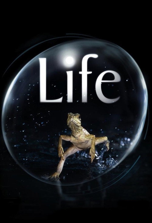 {episode-title}
