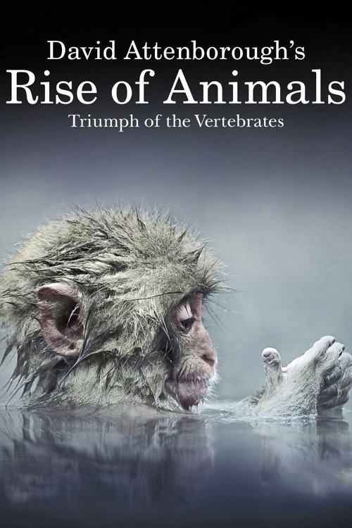 {episode-title}