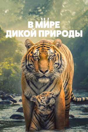 {episode-title}