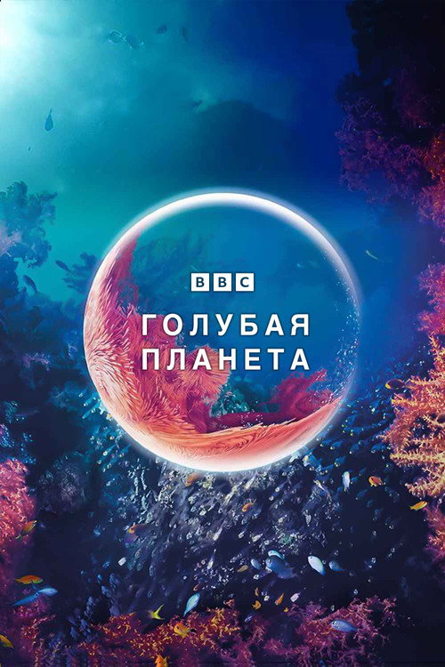 {episode-title}
