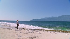 Жизнь и смерть Джереми Бентама