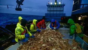 Bering Sea Crash