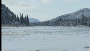 Winter\'s Grasp