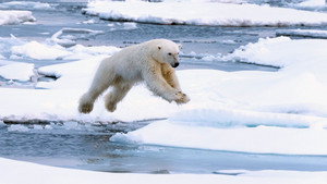 Эпизод 3
