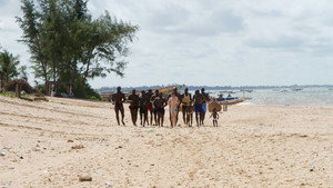 Senegalese Laamb Wrestling/The World Is Sinking