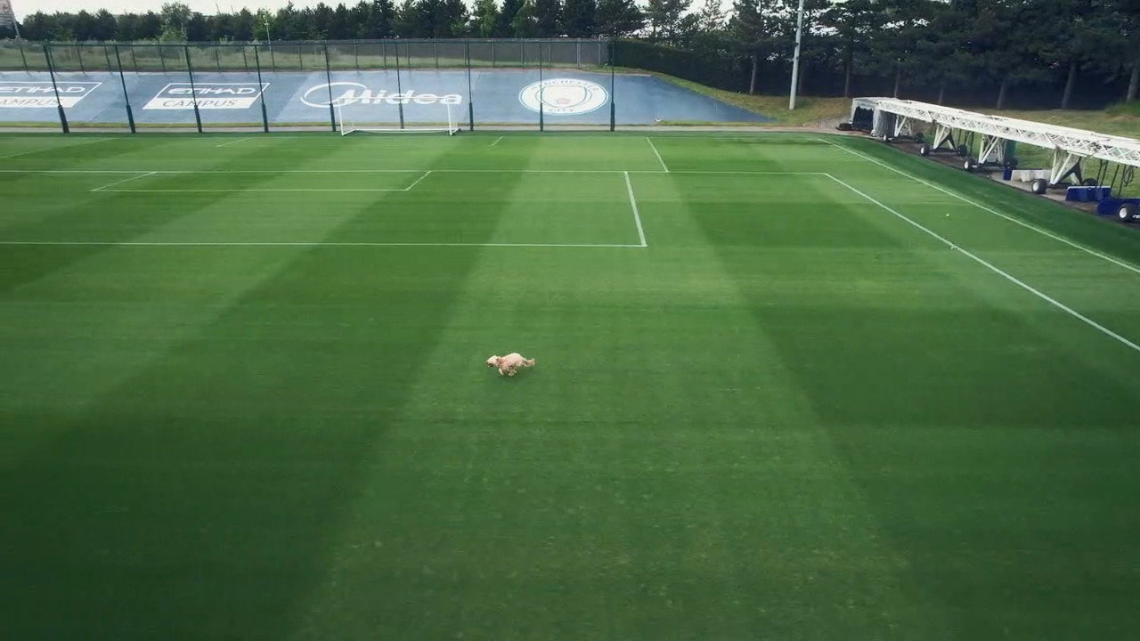5. Do you want to play in the final?