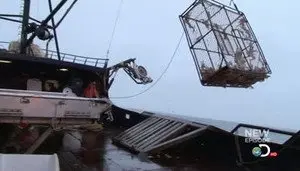 Здесь не рай