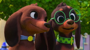 Make Your Bark/Pup to the Races