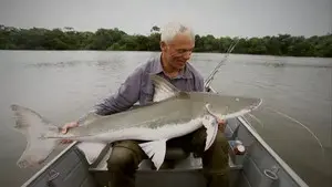 Амазонские хищники