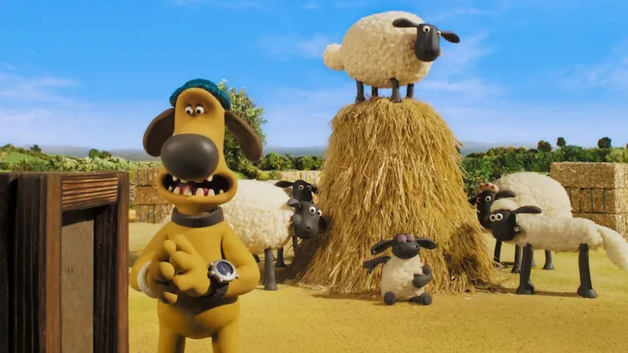 Room with a Ewe