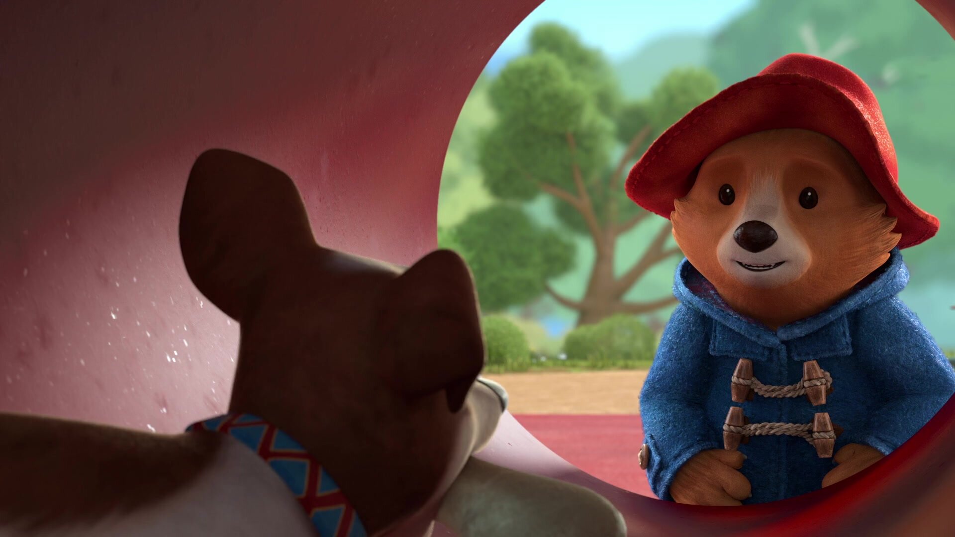 Paddington Learns the Violin