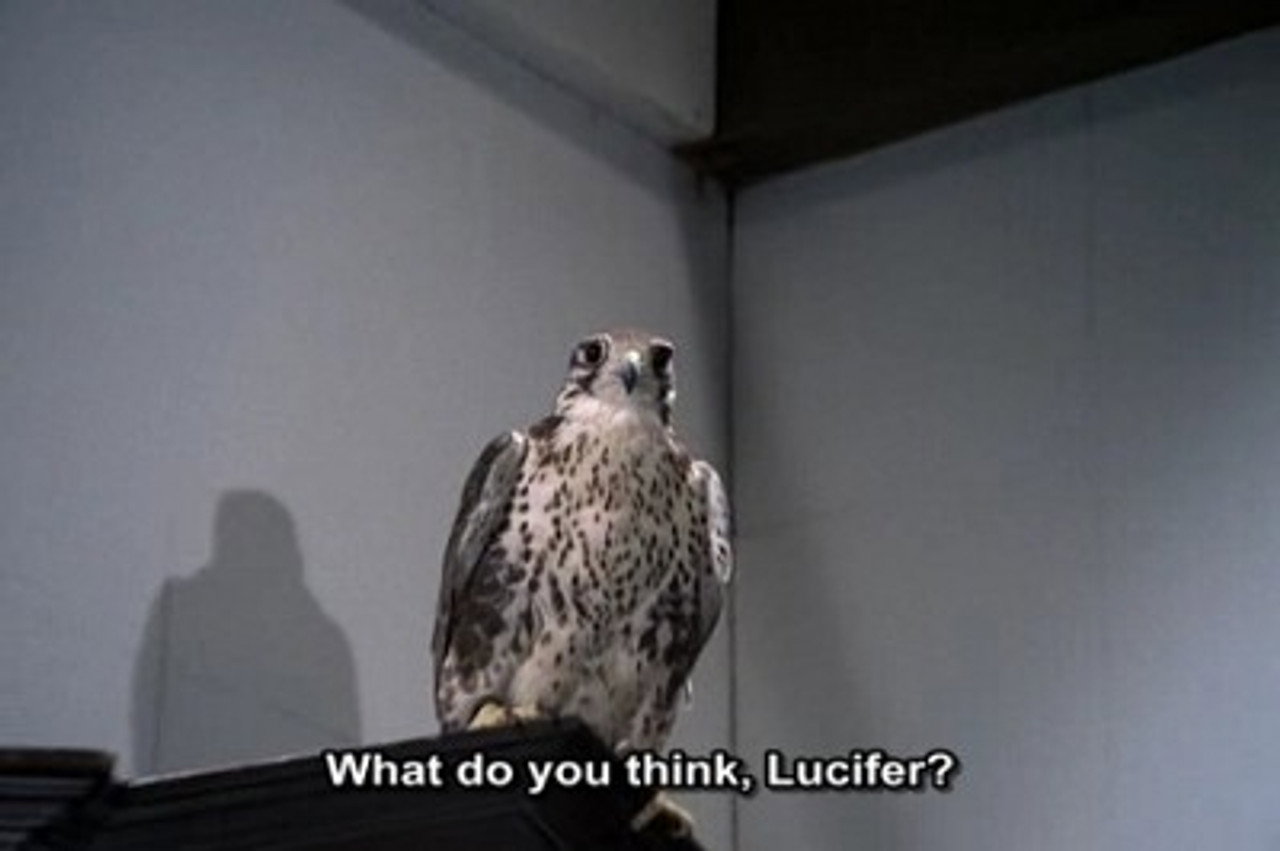 The Falcon: Part 1