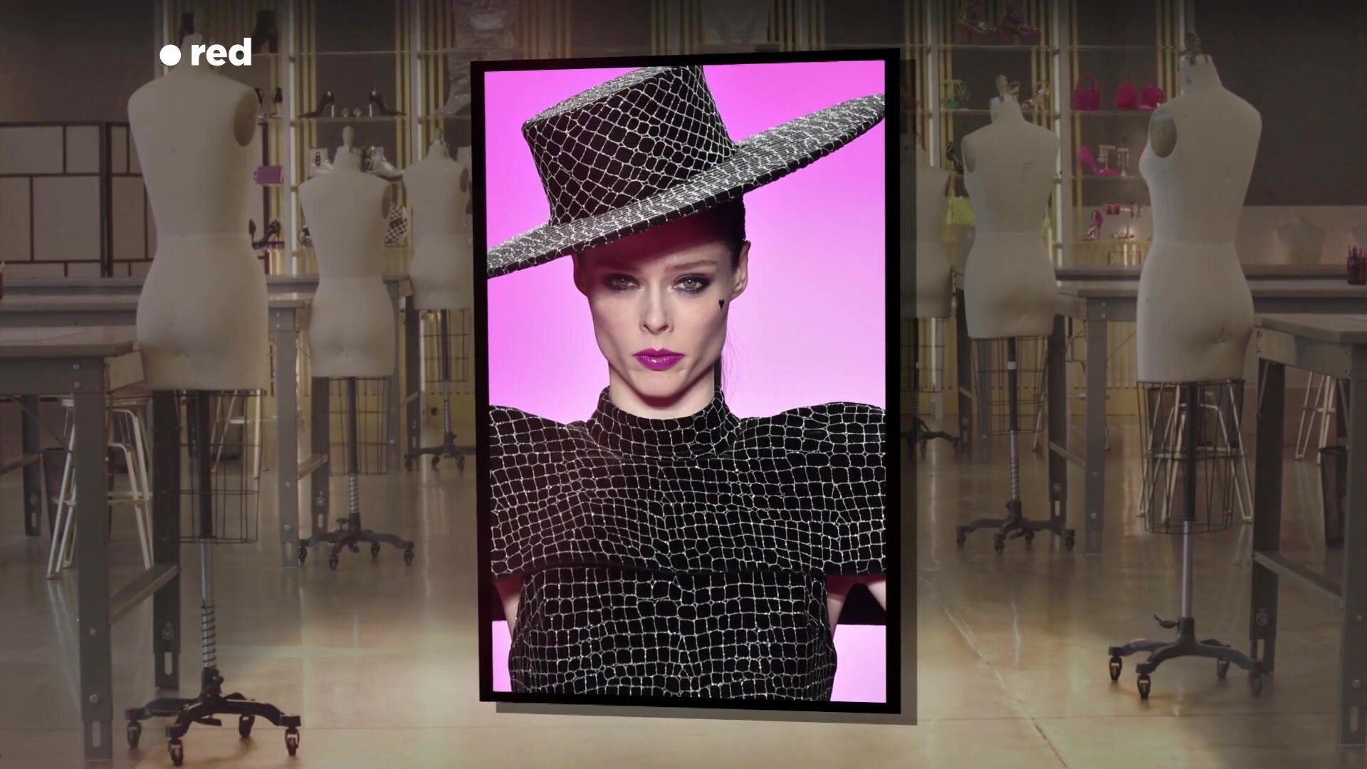 The Model as Muse