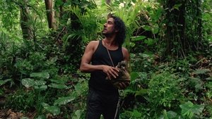  Lost