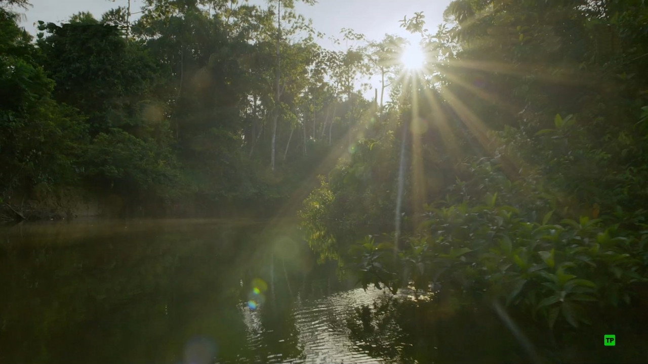 Borneo: Dark Shadow
