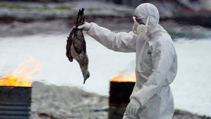 Fatal Contamination - Part 2
