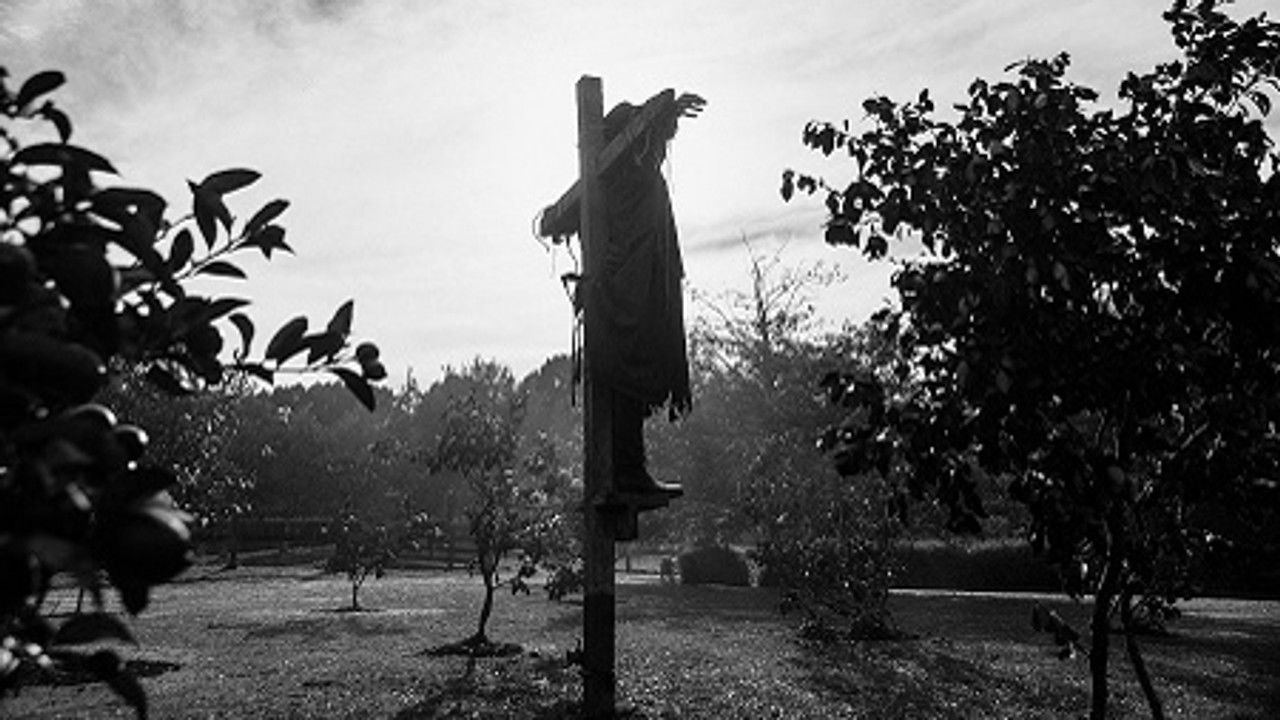 The Scarecrow