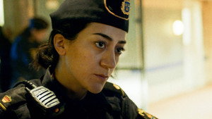Avsnitt 8