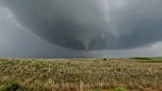 Tornado Alley Weed Farm