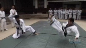 South Korea (Hapkido)