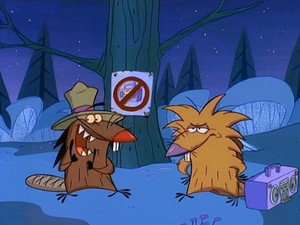 Последняя модель года/ Пень, который зашел поужинать