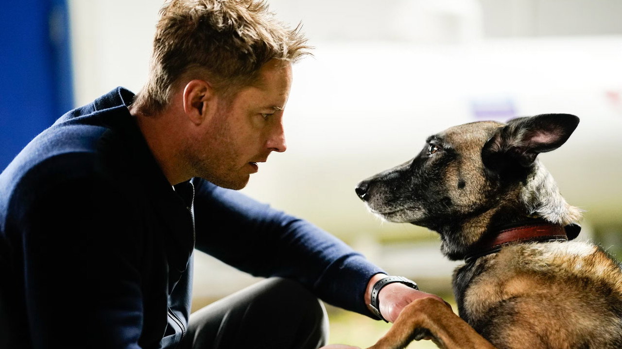 Man\'s Best Friend