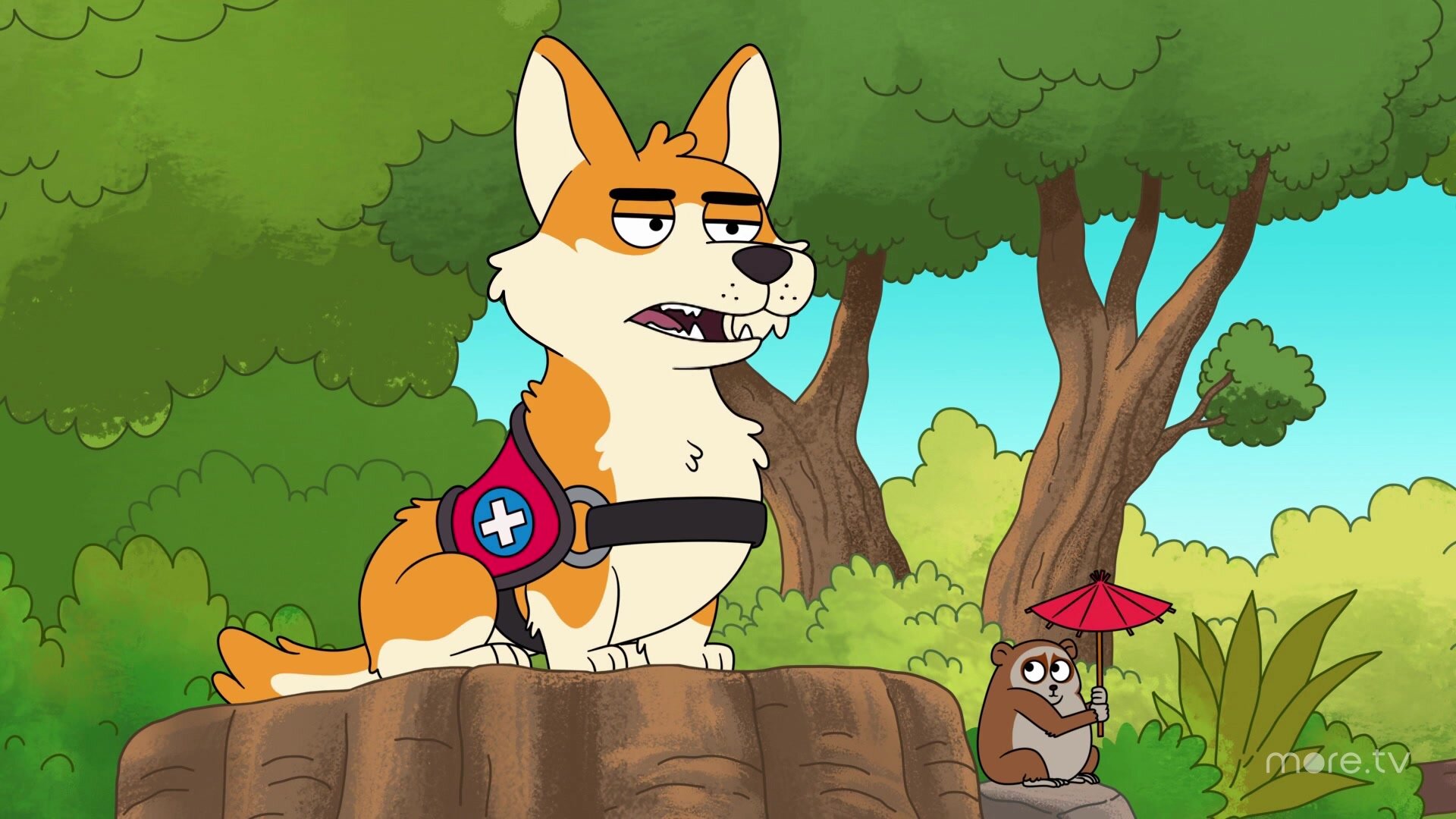 Who\'s a Good Therapist?