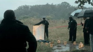 Robinson