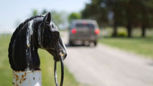 Gallop Poll
