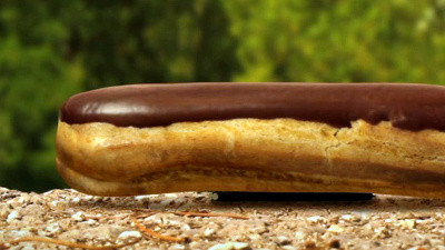Chasse à mouche