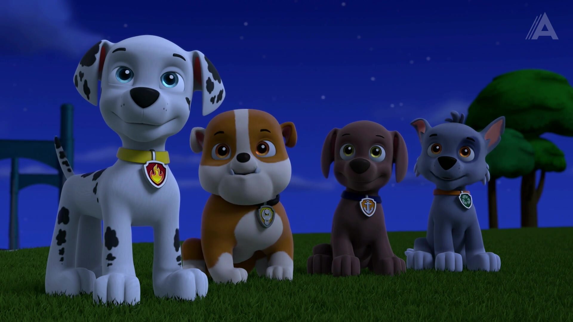 Pups Stop the Space Junk/Pups Stop the Giant Cuckoo