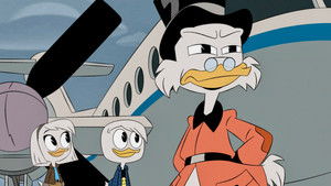 Утиные истории