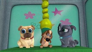 Design-A-Dog/Ice, Ice Puggy