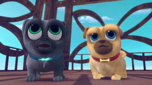 The French Toast Connection/Take Me Out to the Pug Game